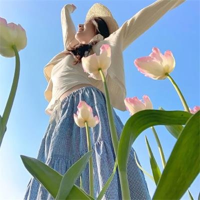 小马宝莉：那部电影